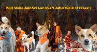 Will Aloka Join Sri Lanka’s Global Walk of Peace?